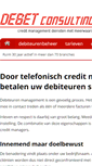 Mobile Screenshot of debetconsulting.nl